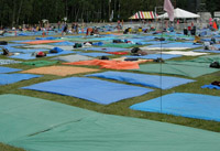 Water Proof, Crumble Proof and Weather Proof Virgin Tarpaulin.